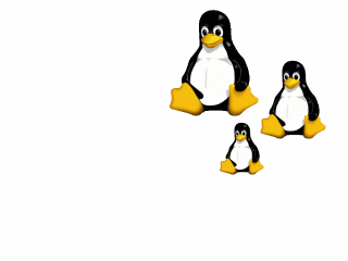 Three Penguins